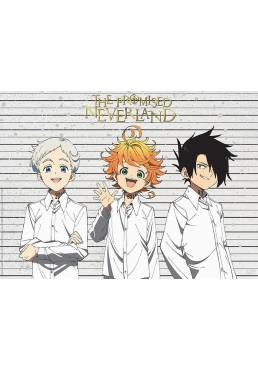 Poster Estilo Fotos Identidad - The Promised Neverland (POSTER 38 x 52)