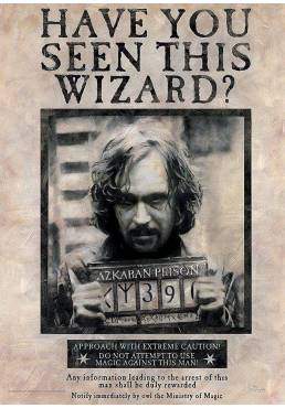 Poster Wanted Sirius Black - Harry Potter (POSTER 91,5 x 61)