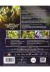 Saint Seiya - Soul Of Gold - Vol. 2 (Blu-Ray + Dvd + Extras) (Ed. Digibook Coleccionista)