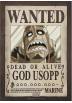 9 Posters Wanted Luffy's crew Wano - One Piece (POSTER (21x29,7)