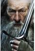 Poster Gandalf - El Hobbit (POSTER 91,5 x 61)