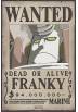 Poster Wanted Franky New - One Piece (POSTER 52 x 38)