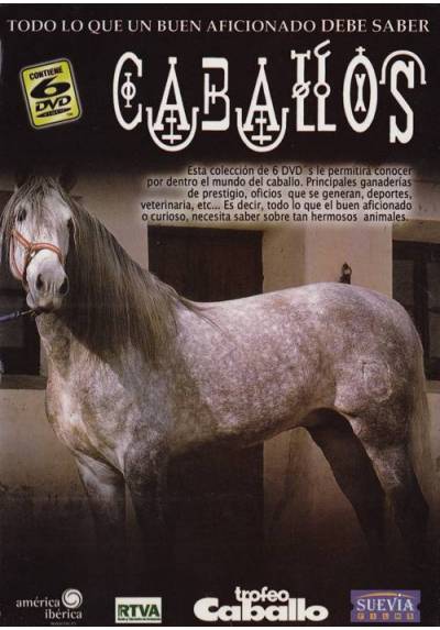 copy of Caravanas Belicas (Fighting Caravans)
